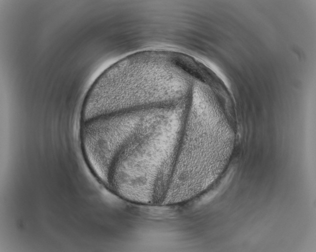 X0000113241007200910011322