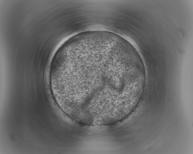 X0000113241008200910011322