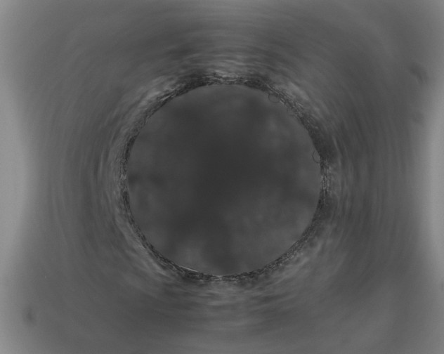 X0000113241009200910011321