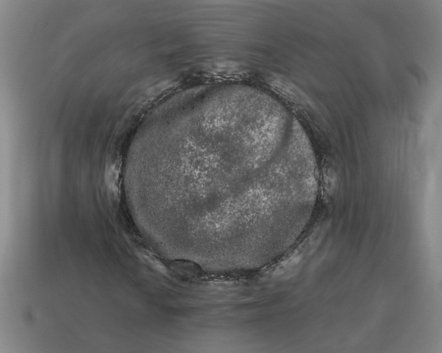 X0000113241010200910011322