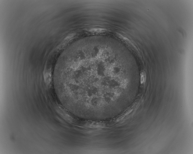 X0000113241011200910011322