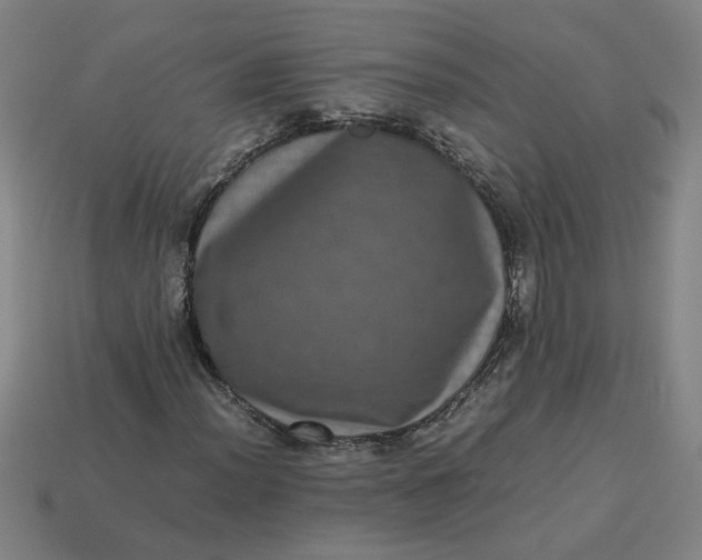 X0000113241012200910011322