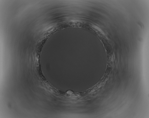 X0000113241013200910011322