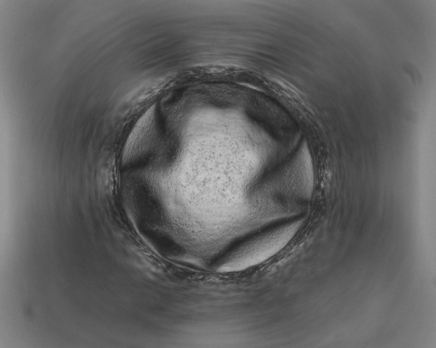 X0000113241014200910011322