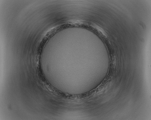 X0000113241016200910011322