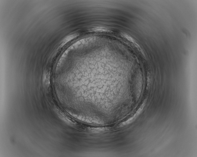 X0000113241017200910011322