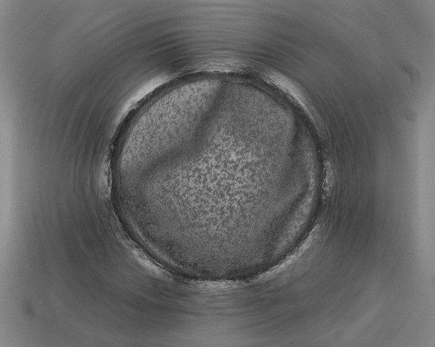 X0000113241018200910011322