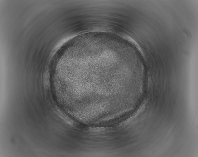 X0000113241019200910011322