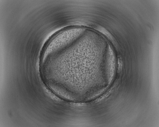 X0000113241020200910011322