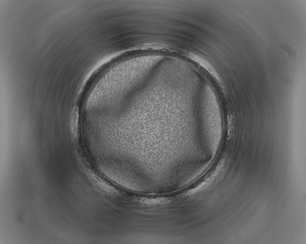 X0000113241021200910011322