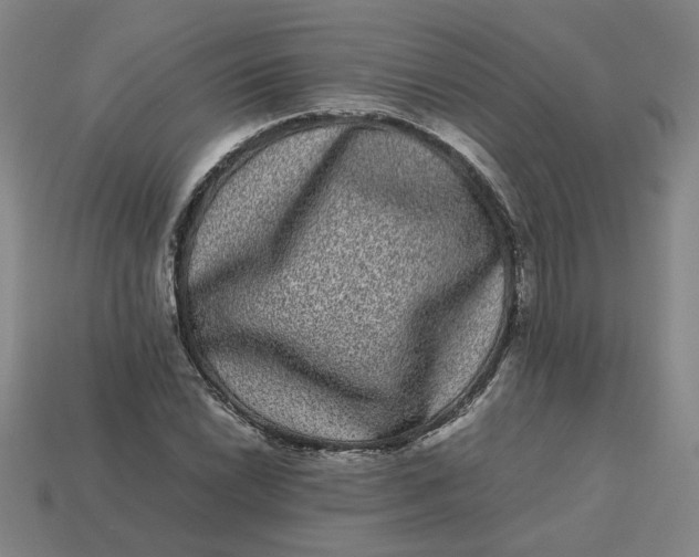 X0000113241022200910011322