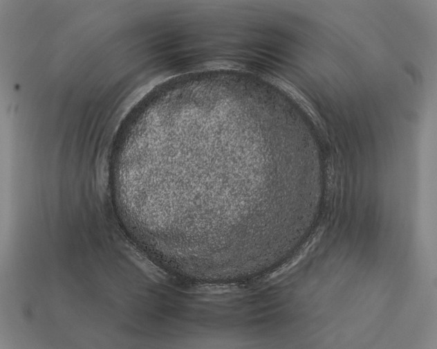 X0000113241023200910011322