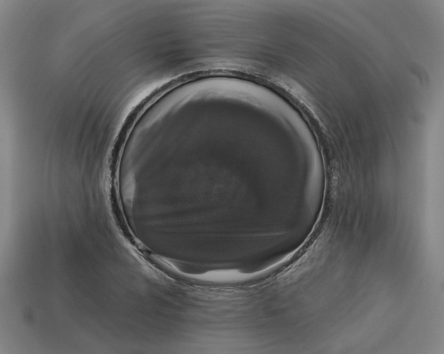 X0000113241024200910011322