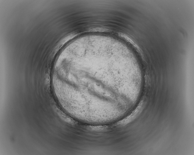 X0000113241025200910011322