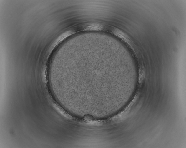 X0000113241026200910011322