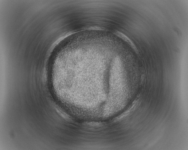 X0000113241027200910011322