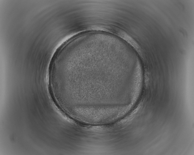 X0000113241028200910011322