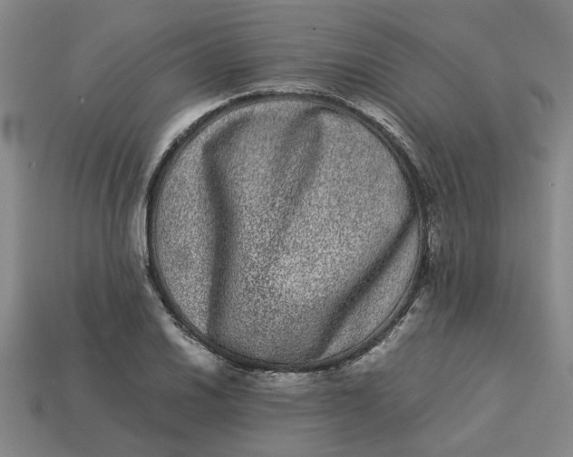 X0000113241030200910011322