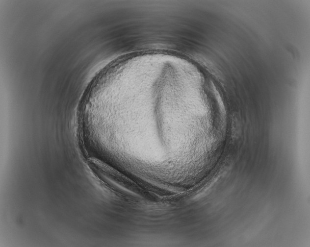 X0000113241031200910011322