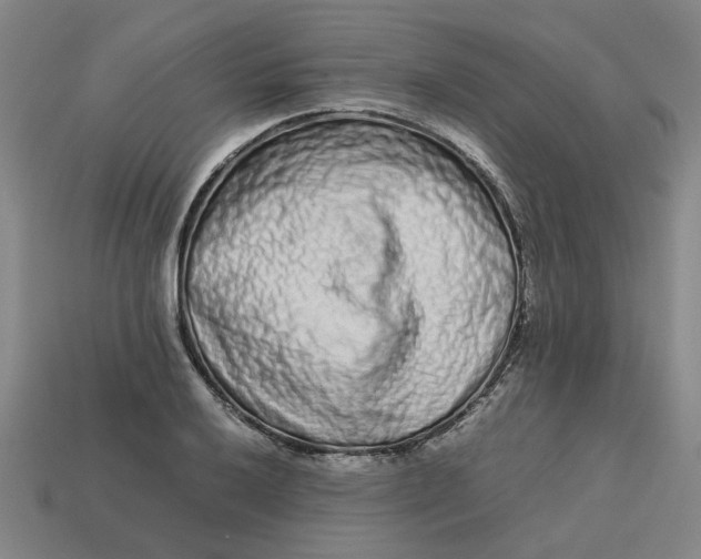 X0000113241032200910011322