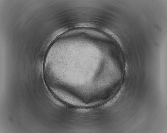 X0000113241033200910011322