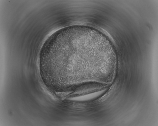 X0000113241035200910011322