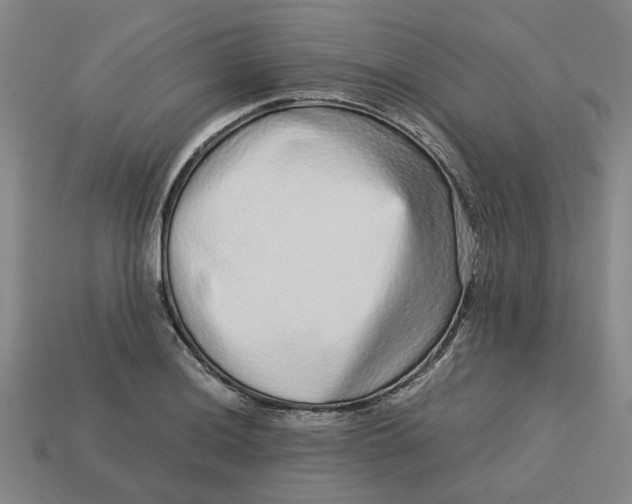 X0000113241036200910011322