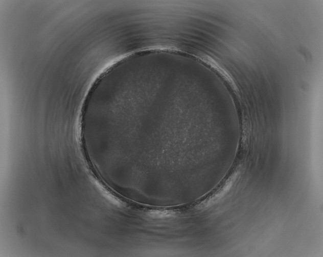 X0000113241037200910011322