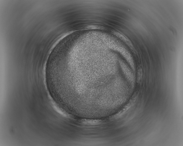 X0000113241039200910011322