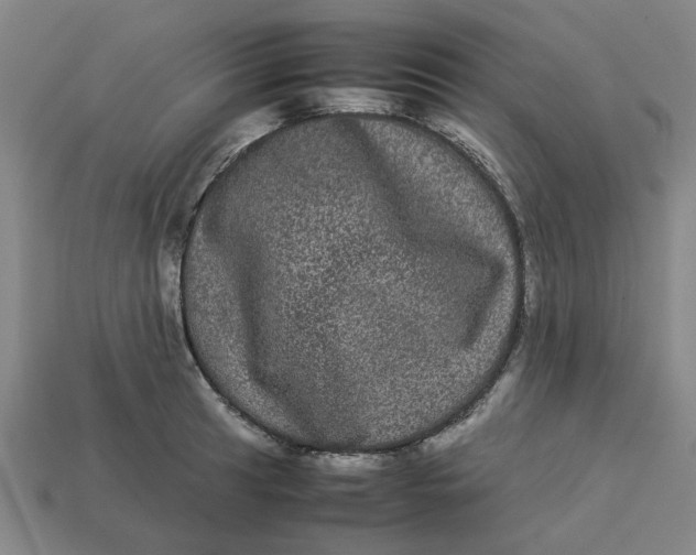 X0000113241041200910011322