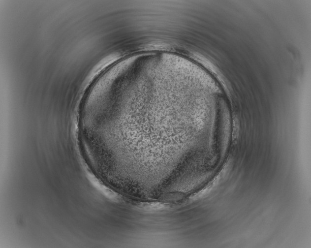 X0000113241042200910011322