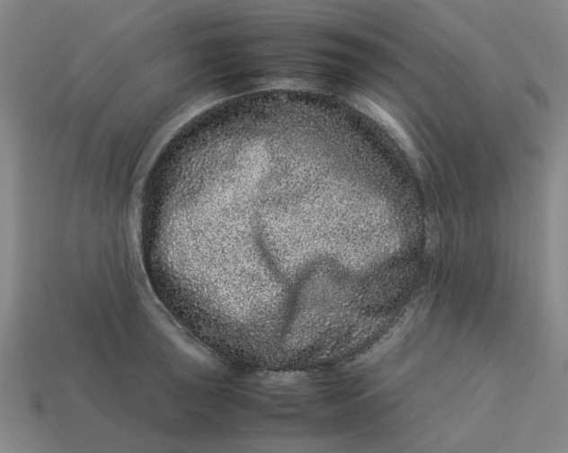 X0000113241043200910011322