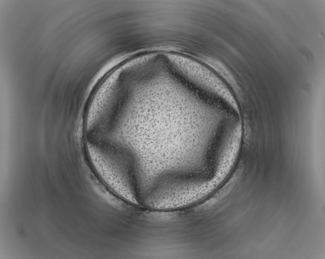 X0000113241044200910011322