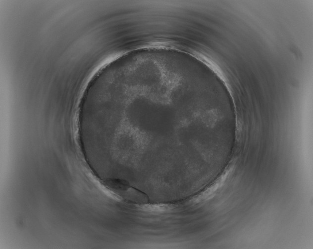 X0000113241045200910011322