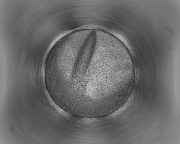 X0000113241046200910011322