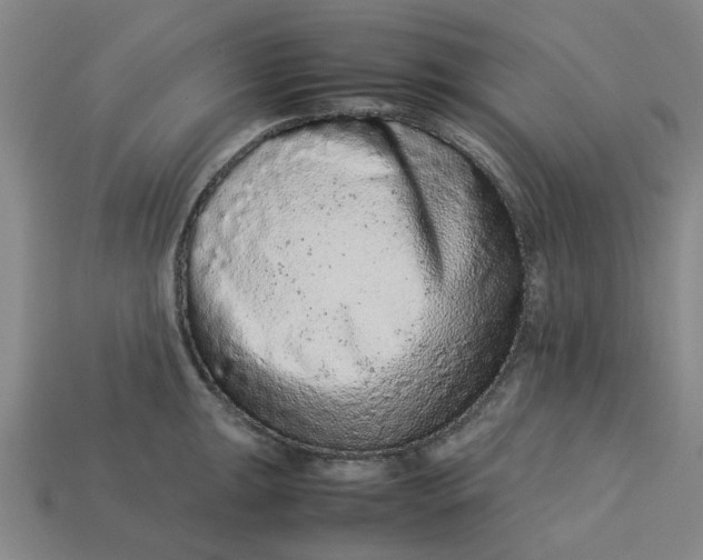 X0000113241047200910011322