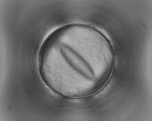 X0000113241048200910011322