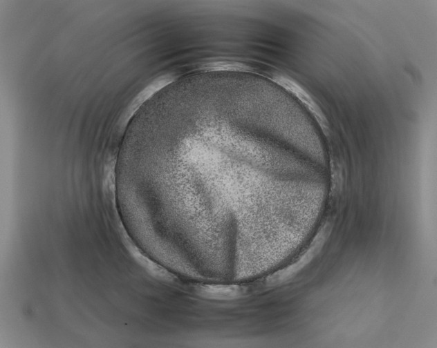 X0000113241049200910011322