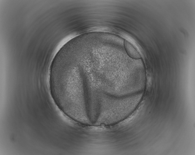 X0000113241050200910011322