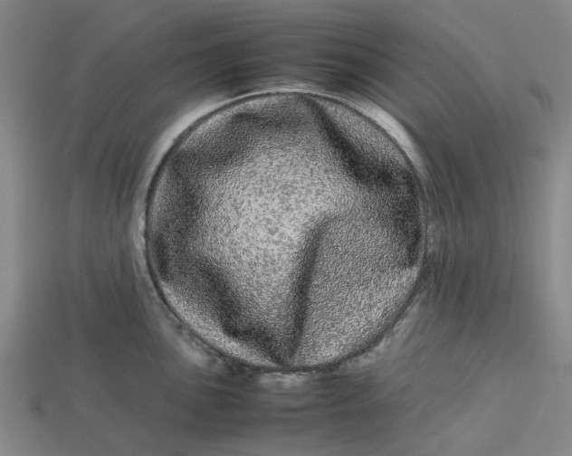 X0000113241051200910011322