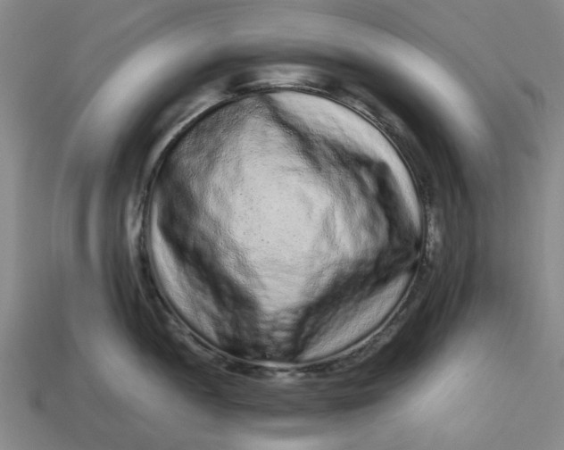 X0000113241052200910011322