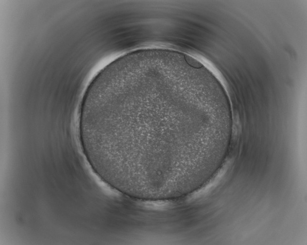 X0000113241053200910011322