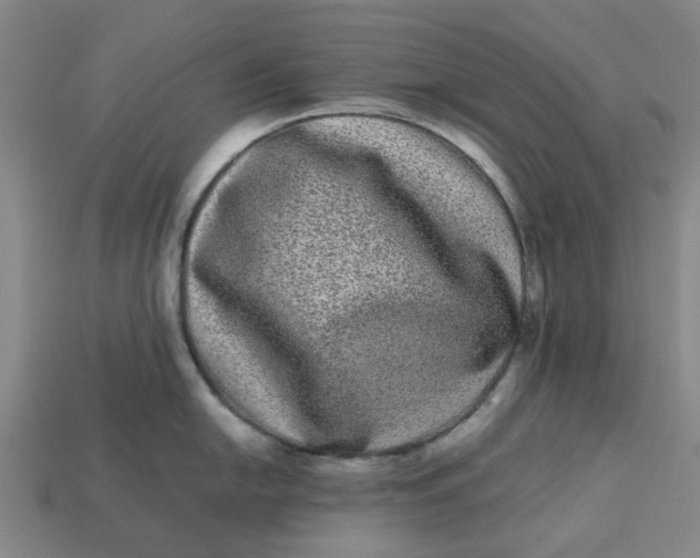 X0000113241054200910011322