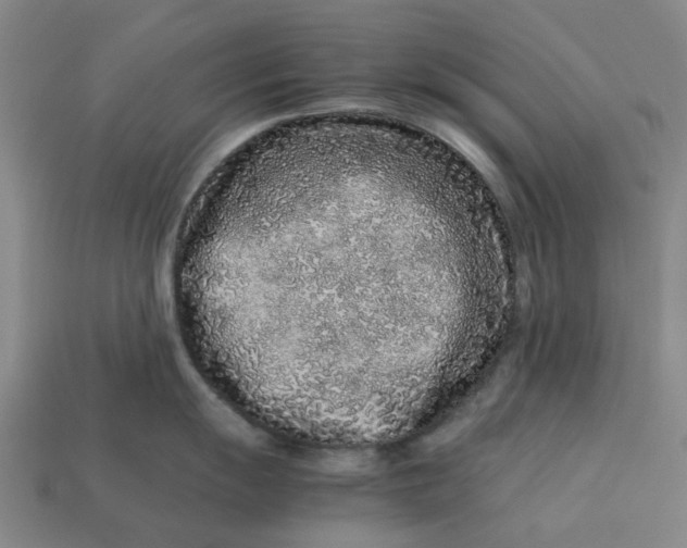 X0000113241055200910011322