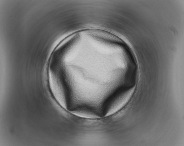 X0000113241056200910011322