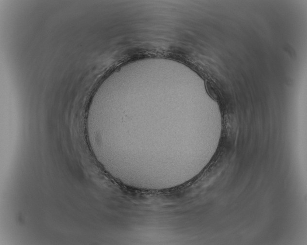 X0000113241057200910011321