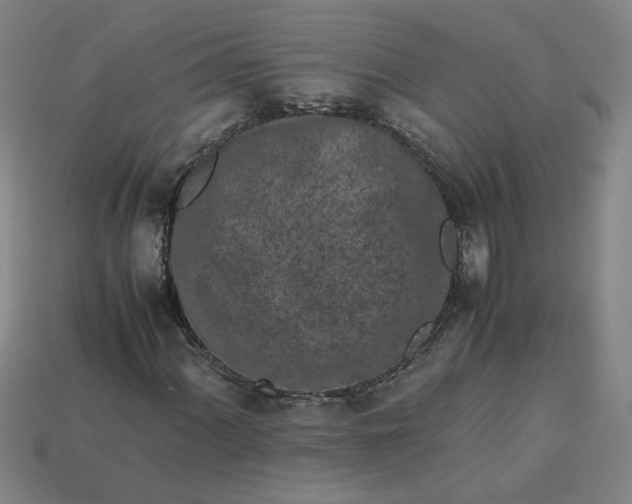 X0000113241060200910011321