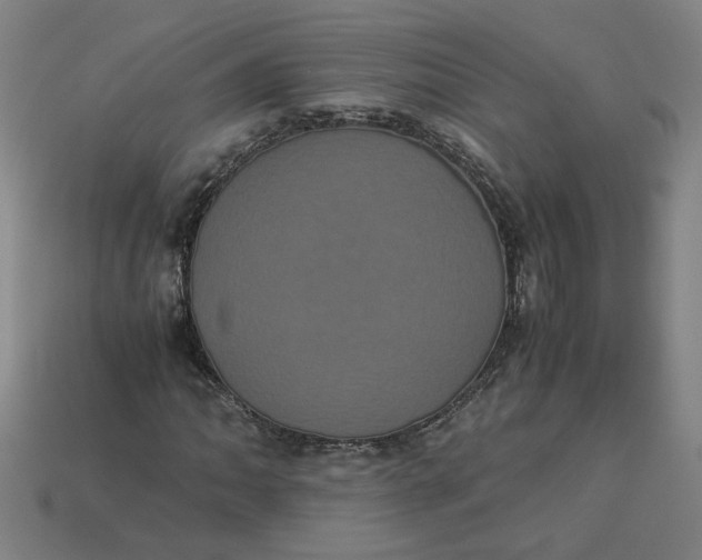 X0000113241062200910011321