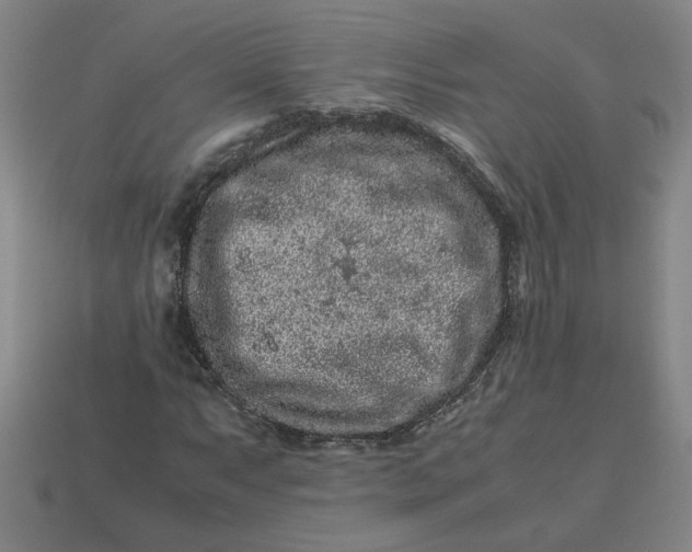 X0000113241063200910011321