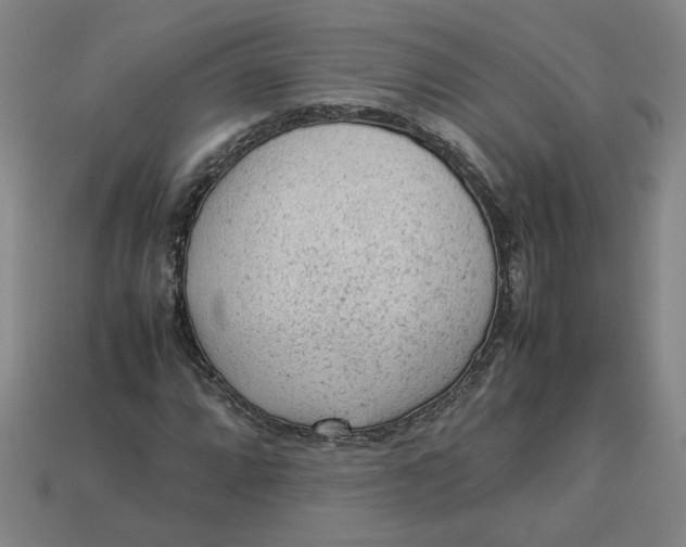 X0000113241064200910011321